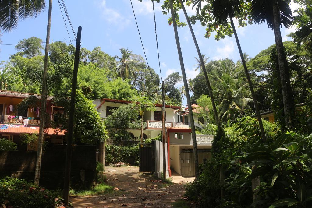 Jungle Guest House Galle Exteriör bild